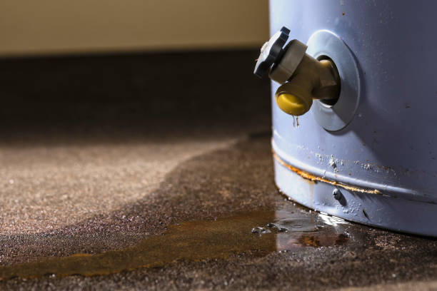 Best Water damage restoration process  in Morro Bay, CA