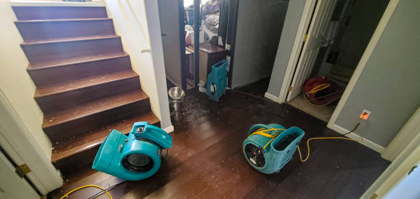 Best Water damage restoration company  in Morro Bay, CA