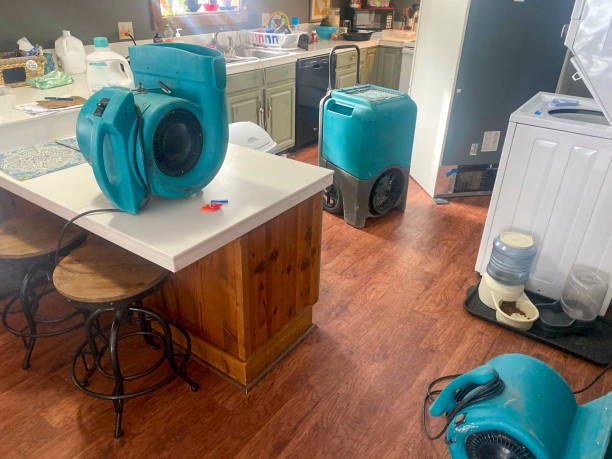 Best Water damage restoration near me  in Morro Bay, CA