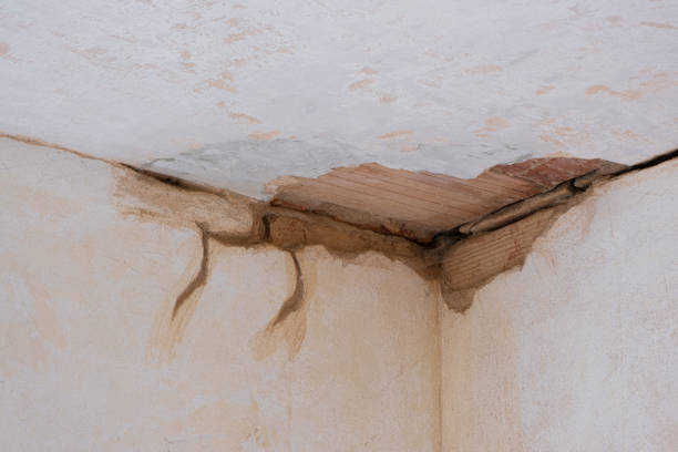 Best Flood restoration services  in Morro Bay, CA