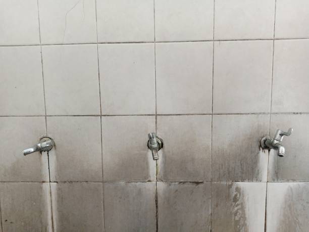 Best Basement water damage restoration  in Morro Bay, CA