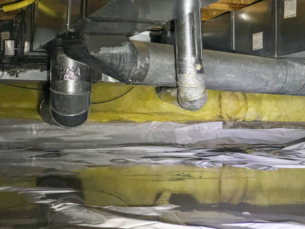 Best Professional water damage repair  in Morro Bay, CA