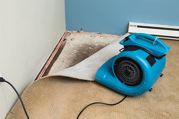 Trusted Morro Bay, CA Water damage restoration Experts